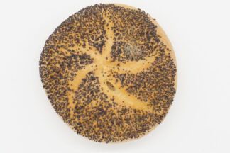 Mohn Brötchen